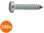 Rocast Set 250 x Surub Cap Bombat pentru Tabla DIN 7981 Otel Zincat-4.8x16 (COR-250x798104816S)