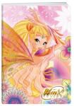 Statovac-komerc Caiet A4 Matematica, 50 File, 80 g, Coperta Winx, Varianta 2 (KH-J317 245M_2)
