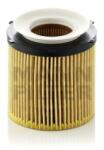 Mann-Filter Filtru Ulei HU8002y pentru BMW (HU8002y)
