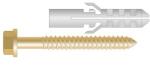 Rocast Set Fixhexsurub 6x100 Diblu 8x40 (AA.06006100S)