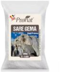 Pronat Foil Pack Sare Alimentara Slanic Prahova Gema 0-4 , 500 g, Pronat