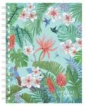 Pelikan Caiet A6 100 File, cu Spira, Matematica, Ladylike Motive Asortate (HRZ-50044221)