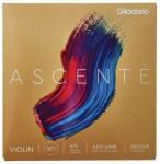 Daddario Ascente A310 4/4M