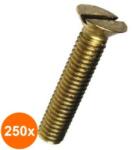 Rocast Set 250 x Surub Cap Inecat Crestat 963 Alama-M 4 x 40 (COR-250x09633440S)