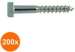 Rocast Set 200 x Holsurub cu Cap Hexagonal DIN 571 Otel Zincat-8x 60 (COR-200x05710860S)