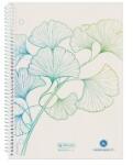 Pelikan Caiet A5, 70 File, Spirala, Matematica, Motiv Gingko Greenline (HRZ-50033508)