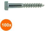 Rocast Set 100 x Holsurub Cap Hexagonal DIN 571 Otel Zincat 10 x 45 (COR-100X057101045S)