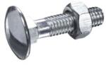 Rocast Surub Torbant cu Piulita din 603, Otel, Zincat - M10 X 170 (0603010170S)