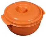 Sterk Plast Castron cu Capac, Sterk Plast (ELC-SK-CC2L) Castron