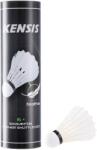 Kensis FSC 6