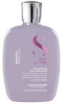 ALFAPARF Milano Semi di lino Smooth simító sampon 250ml (PF020602)