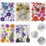  100X Szárított Préselt Virágok, vegyes színek, DIY gyanta levelek (100x Suszone kwiaty)
