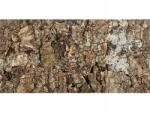  Parafafal tölgyfa kéregből, 60/30cm, terráriumba (VIRGIN)