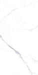 Asian Granito Gresie tip marmura, Satuaria Snow-Glossy 60x120cm, alb, finisaj lucios (4000000580416)