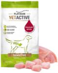 PLATINUM Vetactive Sensitive száraz gyógytáp - csirke 1, 5 kg