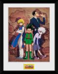 GB eye Afiș înrămat GB eye Animation: Hunter X Hunter - Map (PFC3509)