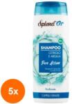 Splend'Or Set 5 x Sampon Purifiant Splend'Or, Castravete si Argila, 300 ml