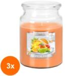 LCA Set 3 x Lumanare Parfumata in Borcan cu Capac, Fructe Tropicale, 100 Ore (GIL-3xLCA-SND99-71)