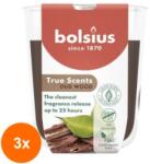Bolsius Set 3 x Lumanare Parfumata in Pahar, Lemn de oud, Bolsius, 80 x 73 mm (GIL-3xLCA-TRU-LP-80-73-70)