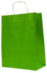 Bisbags Pungi din Hartie cu Manere, Verde Deschis, Interior Alb, 32 x 12 x 41 cm, 100 Bucati (BBG-PK512)