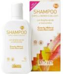 Argital Sampon pentru Par Blond, 250 ml, Argital