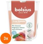 Bolsius Set 3 x Lumanare Parfumata in Pahar, Piersica, Bolsius, 80 x 73 mm (GIL-3xLCA-TRU-LP-80-73-80)