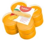 Bolsius Lumanari Pastila 8h, 8 Buc, Bolsius - Mango (LCA-TRU-PT40-10-TS)