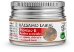 Aprolis Balsam de Buze, Regenerator, 5 g, Aprolis (PB21012)