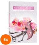LCA Set 6 x 6 Lumanari Pastila, 4 Ore, Vanilie si Orhidee (GIL-6xLCA-P15-184)