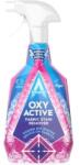 Astonish Solutie de Curatare pentru Indepartarea Petelor de pe Tesaturi Pink Blossom 750 ml, Astonish (ELC-AST-C9330-STN)