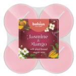 Bolsius Lumanare Pastila Bolsius, Iasomie si Mango, 8 Bucati (LCA-BO-FF-PT40-12)
