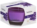 Bolsius Lumanare Parfumata Bolsius True Scents, in Pahar Mediu, Lavanda (LCA-TRU-LPM-63/90-77-TS)