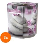 LCA Set 3 x Lumanare Parfumata in Pahar Imprimat, Gradina Spa, 22 Ore (GIL-3xLCA-SN72S-22)