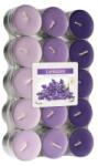LCA Lumanari Pastila, 4 Ore, Lavanda, 30 Bucati (LCA-P30-79)