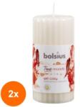 Bolsius Set 2 x Lumanare Stalp 120 x 58 mm Bolsius, Mar Copt si Scortisoara (GIL-2xLCA-TRU-STP-120/58-97-TM)