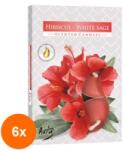 LCA Set 6 x 6 Lumanari Pastila, Hibiscus / Salvie Alba (GIL-6xLCA-P15-356)