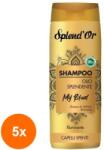 Splend'Or Set 5 x Sampon Splend'Or, Olio Iluminator, 300 ml