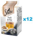 Sheba Fresh & Fine 72x50g nedves teljes értékű eledel felnőtt macskáknak csirkemártással, pulykával