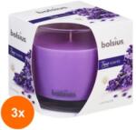 Bolsius Set 3 x Lumanare Parfumata Bolsius True Scents, in Pahar, Lavanda (GIL-3xLCA-TRU-LPB-95/95-77-TS)
