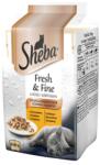 Sheba Fresh & Fine 6x50g nedves teljes értékű eledel felnőtt macskáknak csirkemártással, pulykával