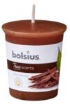 Bolsius Lumanare Parfumata Con, Bolsius, Lemn de Oud (LCA-TRU-LPCO-70-OUD-TS)