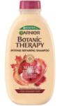 Garnier Set 3 x Botanic Therapy Sampon, 250 ml, Ulei Ricin