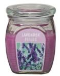 Bolsius Lumanare Parfumata in Borcan cu Capac, Lavanda (LCA-LPBC-120/92-377-LAV)