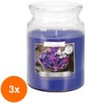 LCA Set 3 x Lumanare Parfumata in Borcan cu Capac Violete, 100 Ore (GIL-3xLCA-SND99-131)