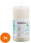 Bolsius Set 3 x Lumanare Stalp 120/58 mm Bolsius in Balance Ceai Alb si Menta (GIL-3xLCA-TRU-STP-120/58-13-TM)