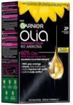 Garnier Vopsea de Par Permanenta fara Amoniac Garnier Olia 2P Platinum Black, 174 ml