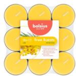 Bolsius Lumanari Pastila, 4 Ore, Mimosa, Bolsius, 18 Bucati (LCA-TRU-PT18-56-TS)