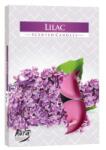 LCA Lumanari Pastila, Liliac 4 Ore, 6 Bucati (LCA-P15-38)