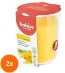 Bolsius Set 2 x Lumanare Parfumata in Pahar, Mimosa, Bolsius, 97 x 85 mm (GIL-2xLCA-TRU-LP-97-85-56)