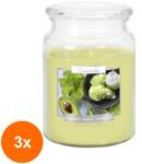 LCA Set 3 x Lumanare Parfumata in Borcan cu Capac Menta si Avocado, 100 Ore (GIL-3xLCA-SND99-353)